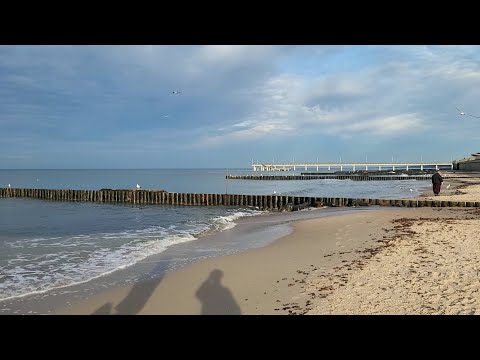 Видео: 05.11. 25 Балтийское море🌊 погода сегодня💥 ЗЕЛЕНОГРАДСК 