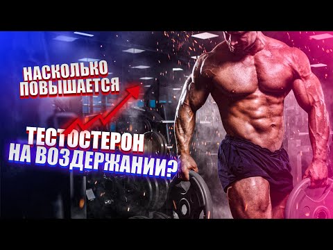 Видео: Насколько повышается ТЕСТОСТЕРОН на ВОЗДЕРЖАНИИ? | Научное исследование