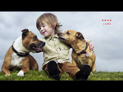 Видео: Бисер Киров – Спи, синко мой