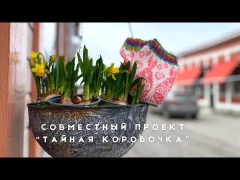 Видео: Проект «Тайная коробочка» / Готовые носочки / Плечевое в процессе / Выиграла пряжу