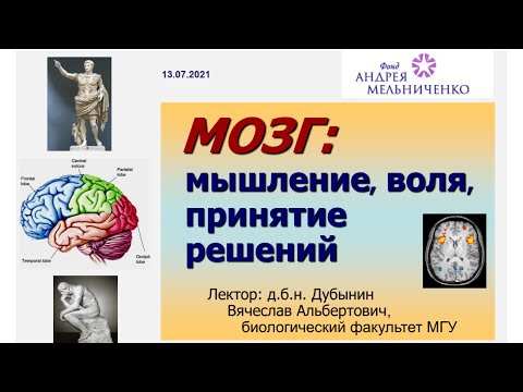 Видео: Дубынин В.А. Мозг: мышление, воля, принятие решений