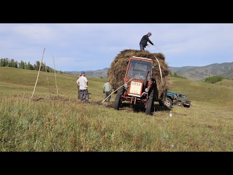 Видео: Байкальская Осень. Сухая, Джида, Усть-Баргузин и приключения Монгола