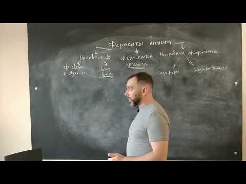 Видео: 6. Составные части молока. Ферменты