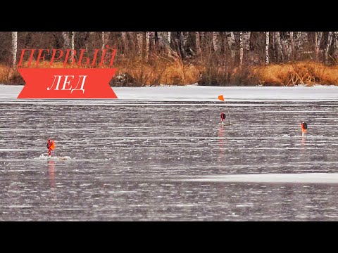Видео: В ЭТОМ БОЛОТЕ ПОЛНО ЩУКИ!!! ЖЕРЛИЦЫ , ПЕРВЫЙ ЛЕД