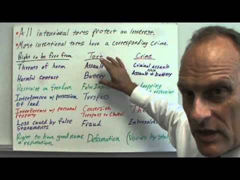 Видео: Обзор умышленных правонарушений