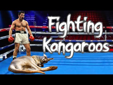 Видео: Люди крепче кенгуру