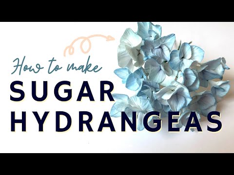 Видео: Мастер-класс по созданию гортензии из мастики // Мастер-класс по созданию цветка из мастики // С ...