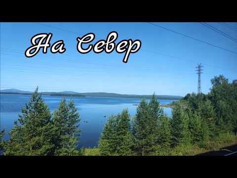 Видео: На Север