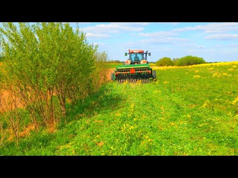 Видео: Самый экстремальный посев зерна за мою жизнь. Или как не нужно сеять. Опыты No till cover crop.