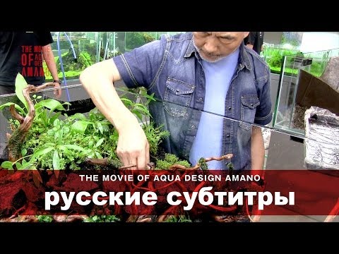 Видео: [ADAview] THE MOVIE OF AQUA DESIGN AMANO [ side:layout ] - русские субтитры