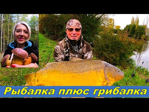 Видео: Рыбалка и грибалка, крупный карп!