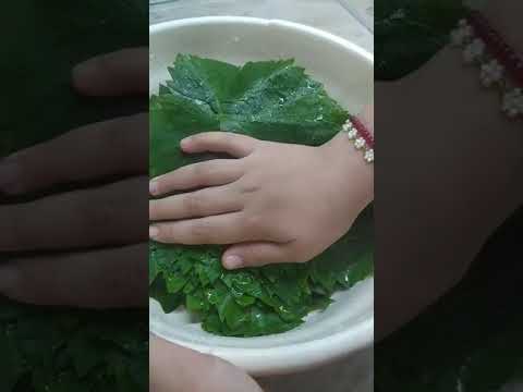Видео: Заготовки на зиму !!! Виноградные листочки, для долма )))