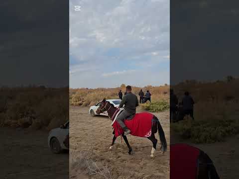 Видео: 26.10.25 Нанбай ауылба болган шабыс. Кунан 4-айлау. 5-айлау. 7-айлау