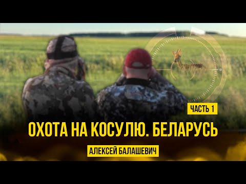 Видео: Охота на косулю. Беларусь #охота #спектроптик #косуля #косули #трофей #hunt #hunting