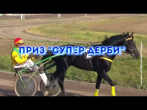 Видео: "ВСЕ ФИНИШИ" 11-12 октября 2024 г.