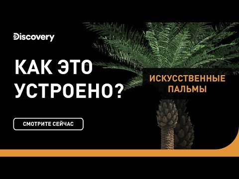Видео: Искусственная пальма | Как это устроено | Discovery