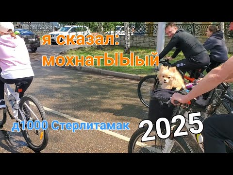 Видео: День 1000 велосипедистов г. Стерлитамак 24.05.25