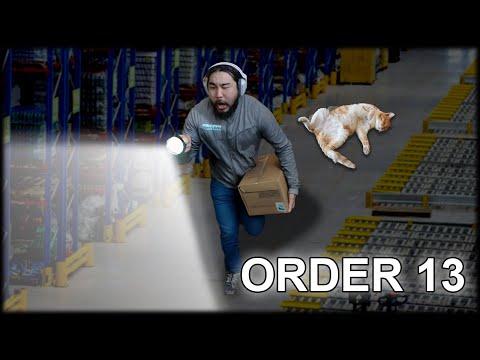 Видео: Order 13 Аминаас илүү муур минь