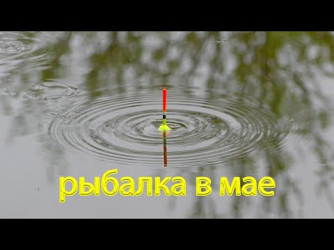 Видео: Первая рыбалка в мае 2024 на речке !