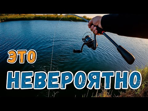 Видео: ЛУФАРИ в реке - это жесть ! | Рыбалка в Греции