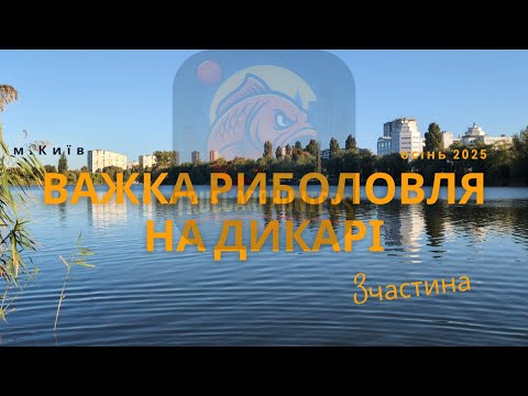 Видео: Ми шукали коропа 4 доби: тактика ловлі на дикарі і монтажі — результат вас здивує!