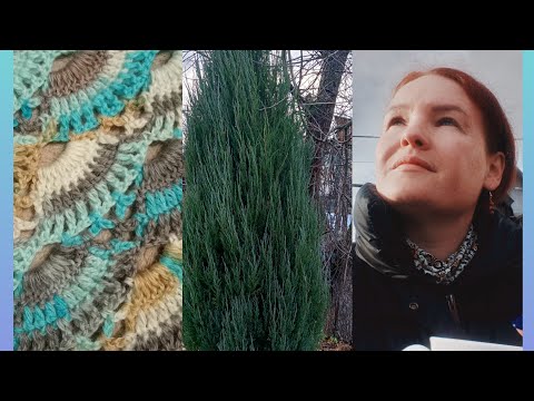 Видео: Вязальный влог🧶 Снова шаль (на заказ)манишка,носки