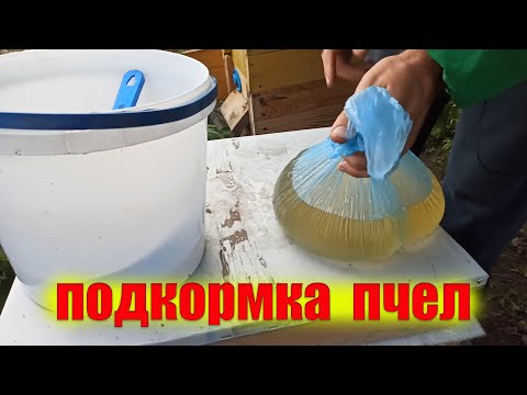Видео: Подкормка пчел осенью. Как подготовить пчел к зиме