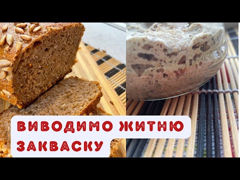 Видео: Житня закваска - виводимо вдома!