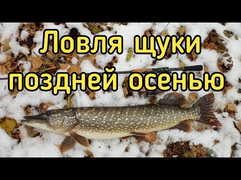 Видео: Эта приманка просто косит щуку! Ловля щуки на спиннинг поздней осенью. ROLANS TRAVEL 704ML 213 4-14