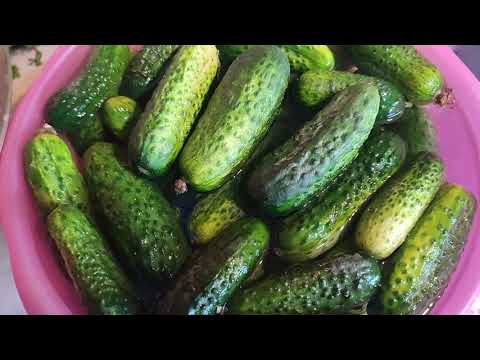 Видео: Консервация огурцов - это просто!!!