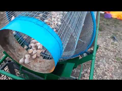 Видео: $$$ ПАН ИЛИ ПРОПАЛ $$$ ВИДЕООБЗОР КАЛИБРОВАТЕЛЬНОЙ МАШИНЫ