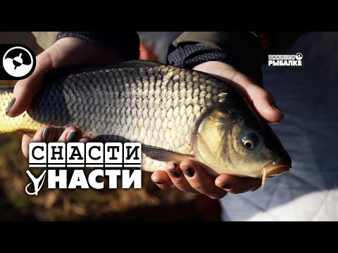 Видео: Искать, кормить, ловить | Снасти у Насти