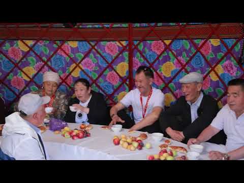Видео: Алай. Жайлоо Аюу тапан. 60 жаш Кутман курак