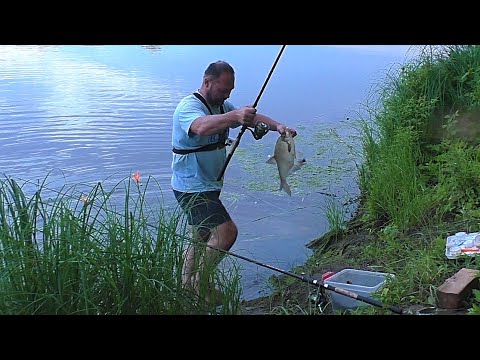 Видео: Ловля ЛЕЩА на яме с берега! Рыбалка на донки в июле! Рыбалка на Оке!