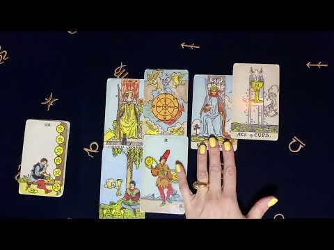 Видео: ТЕЛЬЦЫ ♉️ Прогноз на неделю 17.11.25  -  23.1125