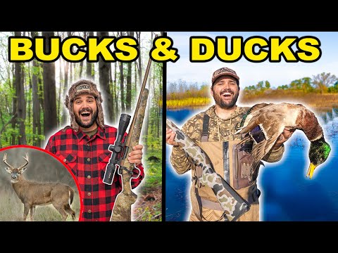 Видео: Я ВЕРНУЛСЯ! Однодневный челлендж по охоте на оленя и уток!!! (Поймать чистого повара)