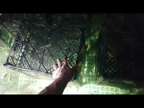 Видео: Самый дешевый способ увеличить "S" в бассейне