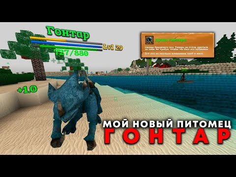 Видео: BLOCK STORY - Мой новый питомец "Гонтар"
