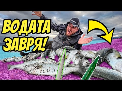 Видео: ДВЕ РИБИ НА ЕДНА ПРИМАМКА! Риболов на лефер с повърхностна примамка Surf Walker 2.0