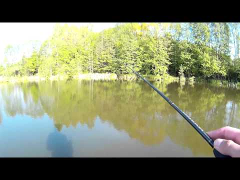 Видео: Рыбалка на водохранилище Кутовщина