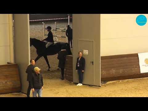Видео: Конкур 120 см., две фазы. Группа 1. Чемпионат РК. Астана, 22-10-23