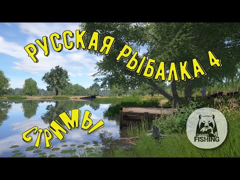 Видео: Русская рыбалка 4 ► Рыбачим в удовольствие