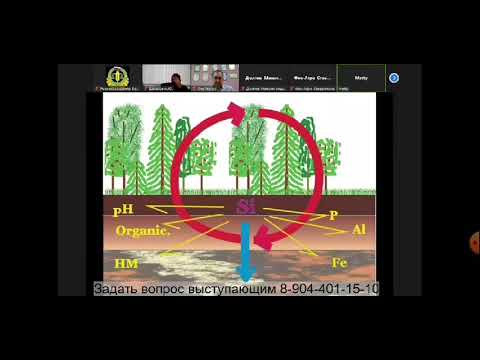 Видео: Кремний в жизни растений часть 1