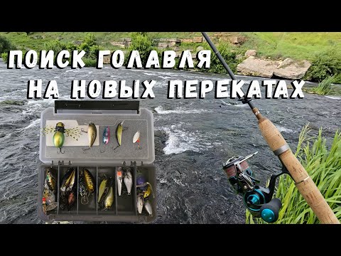Видео: Поиск голавля на новых перекатах