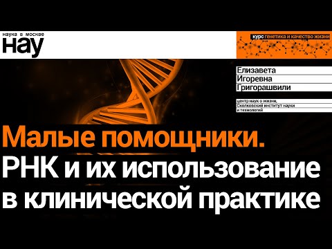 Видео: «Малые помощники. РНК и их использование в клинической практике». Спикер: Елизавета Григорашвили