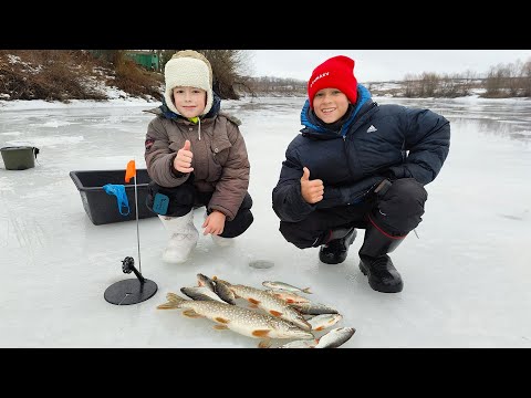 Видео: Рыбалка с молодым поколением 😊 Ловим плотву и щуку на первой рыбалке со льда.