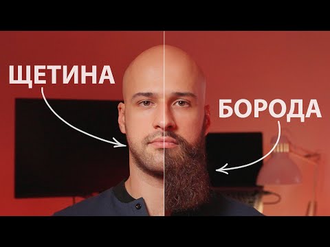 Видео: От щетины до лопаты: как борода влияет на твою жизнь