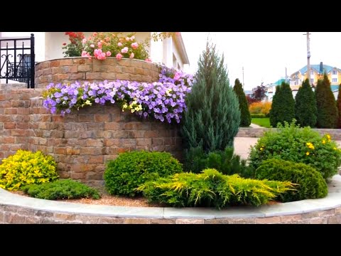 Видео: Красивые идеи творческого декора и ландшафтного дизайна / Creative decor and landscape design ideas