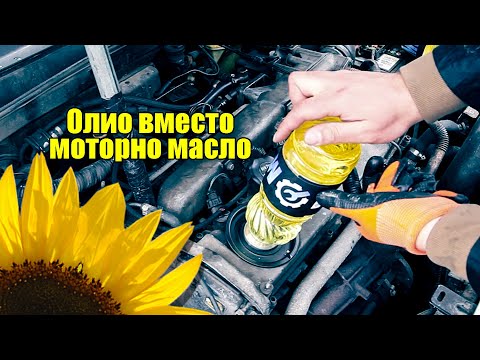 Видео: Слънчогледово олио вместо двигателно масло +  добавка, сос за салата капрезе - MEGAPARTS.BG  🛠