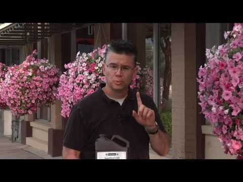 Видео: Секретная формула для подвесных корзин — Anderson's Seed & Garden